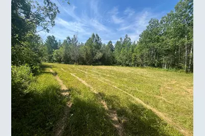 1961 Town Road 118, Birchdale, MN 56629 - Photo 23