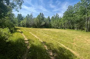 1961 Town Road 118, Birchdale, MN 56629 - Photo 23