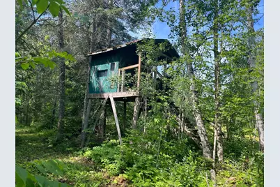 1961 Town Road 118, Birchdale, MN 56629 - Photo 19