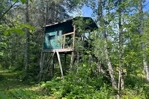 1961 Town Road 118, Birchdale, MN 56629 - Photo 19