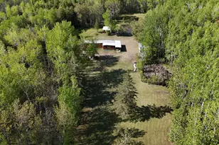 1961 Town Road 118, Birchdale, MN 56629 - Photo 13