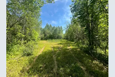 1961 Town Road 118, Birchdale, MN 56629 - Photo 17