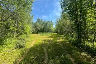 1961 Town Road 118, Birchdale, MN 56629 - Photo 17