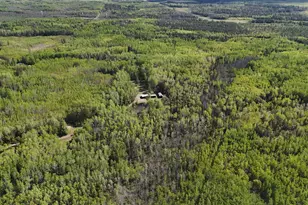 1961 Town Road 118, Birchdale, MN 56629 - Photo 39