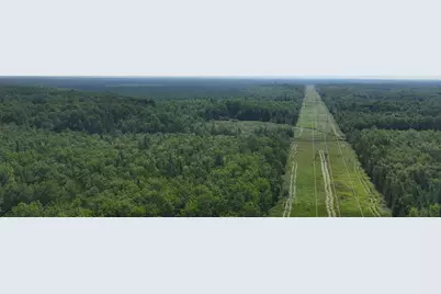 1961 Town Road 118, Birchdale, MN 56629 - Photo 33