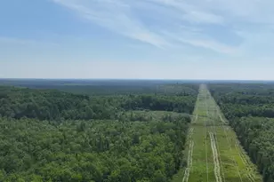 1961 Town Road 118, Birchdale, MN 56629 - Photo 33