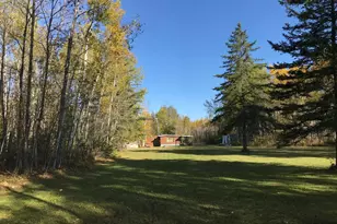 1961 Town Road 118, Birchdale, MN 56629 - Photo 37