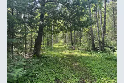 1961 Town Road 118, Birchdale, MN 56629 - Photo 3