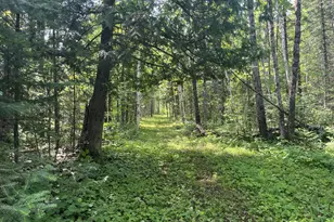 1961 Town Road 118, Birchdale, MN 56629 - Photo 3