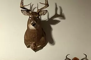 1961 Town Road 118, Birchdale, MN 56629 - Photo 49