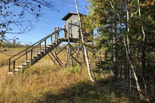 1961 Town Road 118, Birchdale, MN 56629 - Photo 29