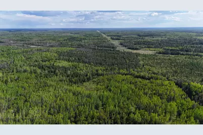 1961 Town Road 118, Birchdale, MN 56629 - Photo 45