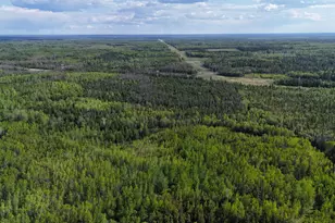 1961 Town Road 118, Birchdale, MN 56629 - Photo 45