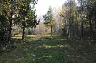 1961 Town Road 118, Birchdale, MN 56629 - Photo 27