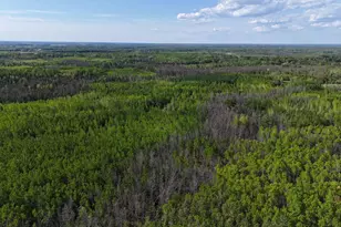 1961 Town Road 118, Birchdale, MN 56629 - Photo 47