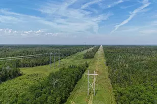 1961 Town Road 118, Birchdale, MN 56629 - Photo 31