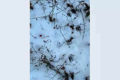 Xxxx NW County 47, Longville, MN 56655 - Photo 9