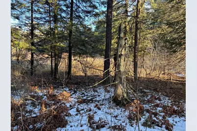 Xxxx NW County 47, Longville, MN 56655 - Photo 5