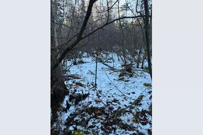 Xxxx NW County 47, Longville, MN 56655 - Photo 7