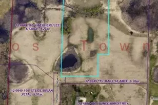 Lot 3 Buckskin Park Ct NE, Carlos, MN 56319 - Photo 1