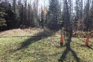 15939 Co Rd 536, Nashwauk, MN 55769 - Photo 31