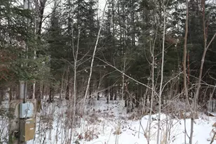 15939 Co Rd 536, Nashwauk, MN 55769 - Photo 17