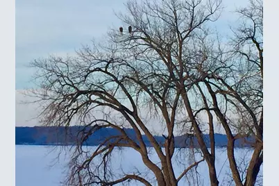 1701 1st Street #4, Pepin, WI 54759 - Photo 31