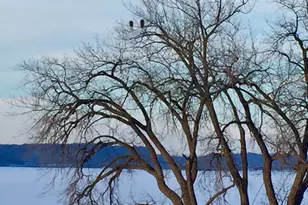 1701 1st St, Pepin, WI 54759 - Photo 31