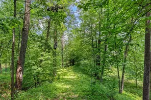 7966 Lost Lake Rd, Nisswa, MN 56468 - Photo 43