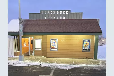 56 Main Street N, Blackduck, MN 56630 - Photo 1