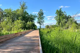 37538 Norwood Ln, Battle Lake, MN 56515 - Photo 71