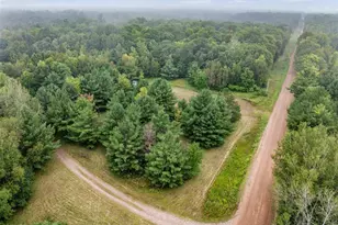 10657 Black Bear Rd, Brainerd, MN 56401 - Photo 41