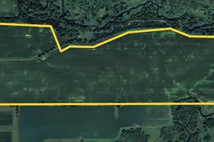 245th Ave 335th St, Glenwood, MN 56381 - Photo 1