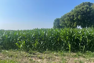 Xxx 590th, Bay City, WI 54723 - Photo 1