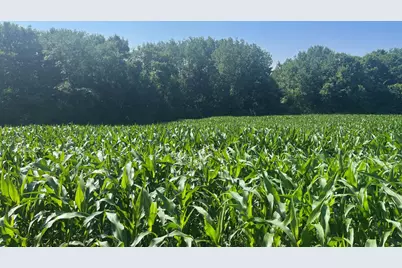 Xxx 590th, Bay City, WI 54723 - Photo 3