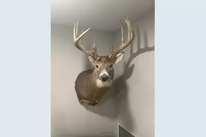 Xxx 590th, Bay City, WI 54723 - Photo 5