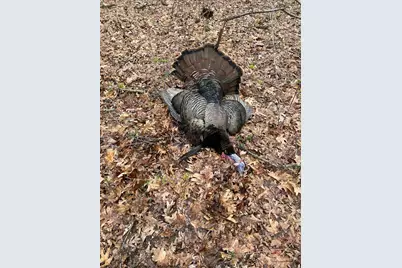 Xxx 590th, Bay City, WI 54723 - Photo 25