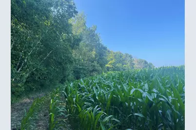 Xxx 590th, Bay City, WI 54723 - Photo 11