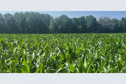 Xxx 590th, Bay City, WI 54723 - Photo 15