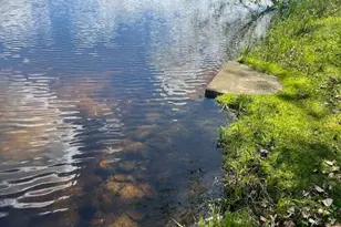 30602 Co Rd 52, Bigfork, MN 56628 - Photo 13