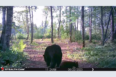 2155 E Kingsdale Road, Danbury, WI 54830 - Photo 13