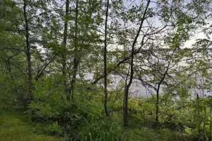 51992 209th Pl, McGregor, MN 55760 - Photo 5