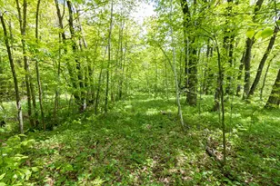 Lot 15 133rd St, Amery, WI 54001 - Photo 1