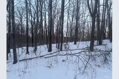 5Xxx Banyan Drive, Garrison, MN 56450 - Photo 9