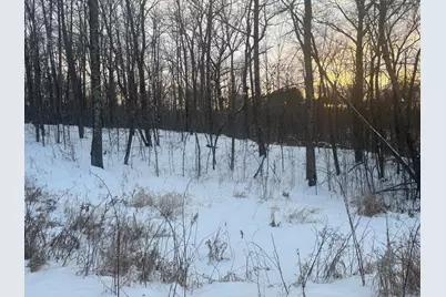 5Xxx Banyan Drive, Garrison, MN 56450 - Photo 5