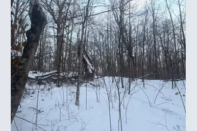 5Xxx Banyan Drive, Garrison, MN 56450 - Photo 7