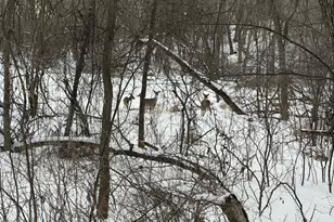 7641 Long Lake Rd, Willmar, MN 56201 - Photo 31