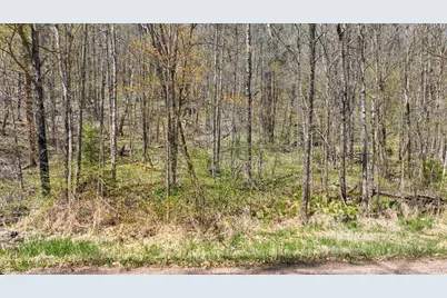 3.91 Acres Gueldner Lane N, Exeland, WI 54835 - Photo 9