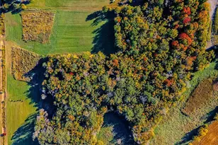 3075 Nelson Rd, Independence, MN 55328 - Photo 31