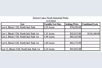 Tbd Mallard Street, Detroit Lakes, MN 56501 - Photo 3